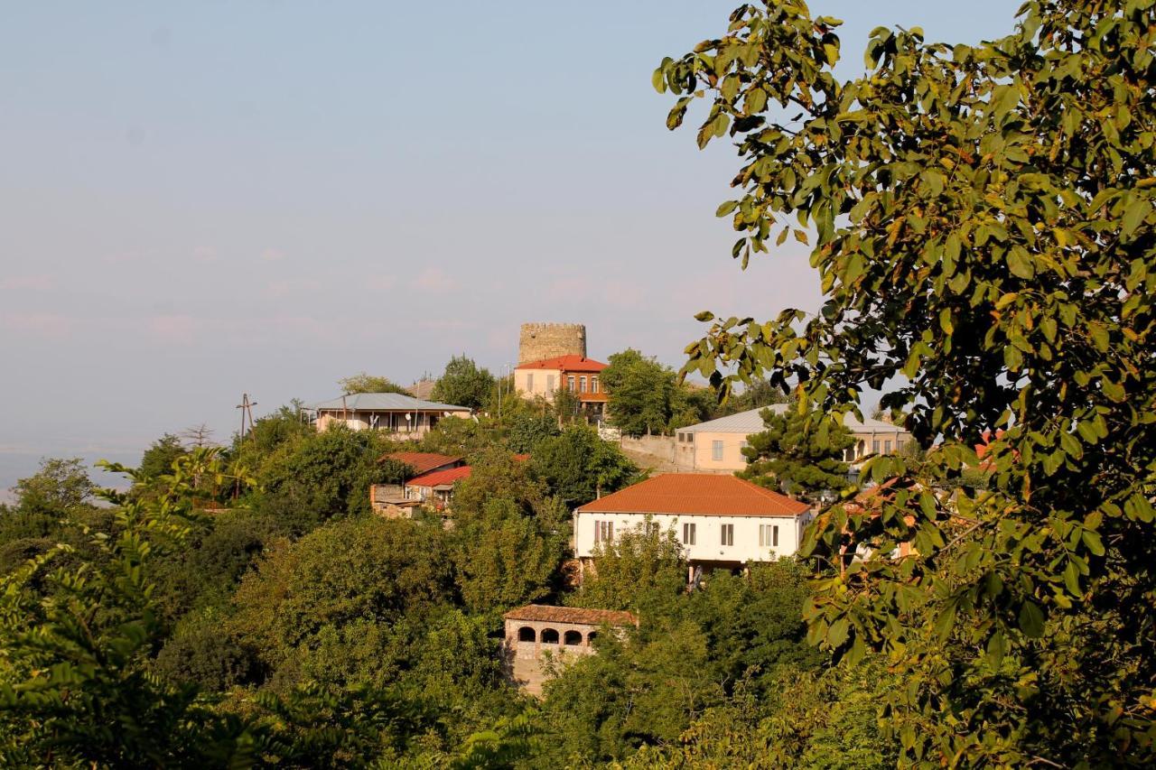 Maya Guest House Sighnaghi Eksteriør billede
